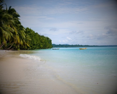 Havelock
