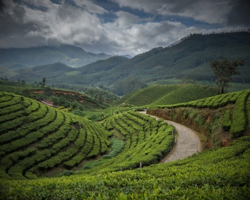 Munnar