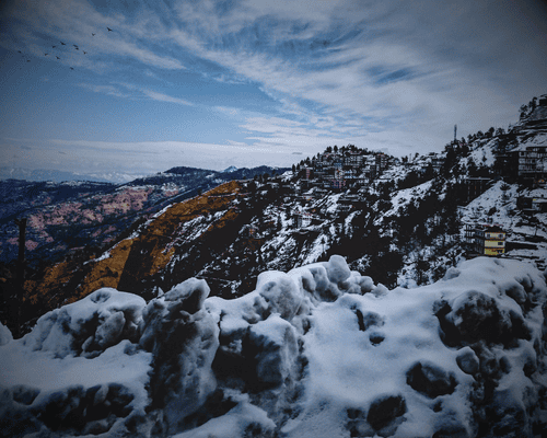 Shimla